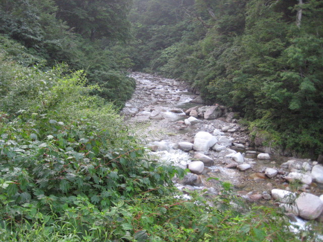 img0005.jpg