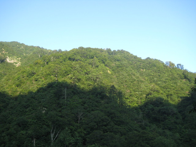 img0015.jpg