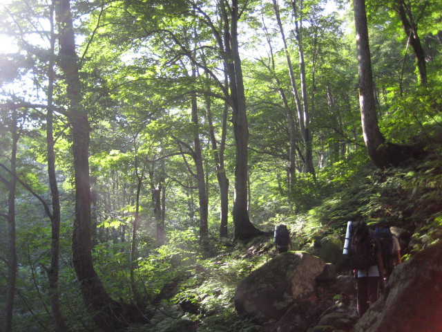 img0019.jpg