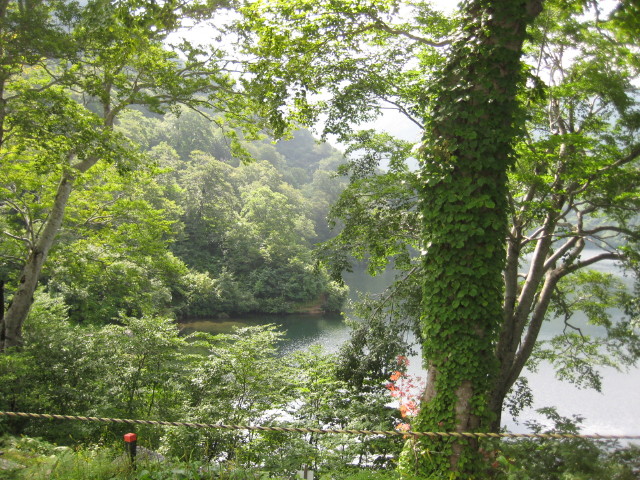 img0021.jpg