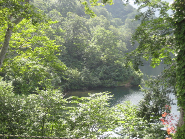 img0022.jpg