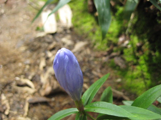 img0029.jpg