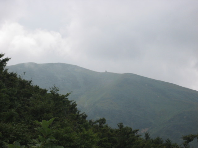 img0033.jpg