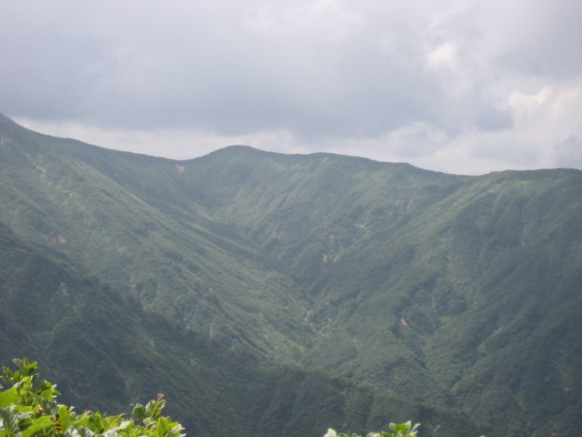 img0039.jpg