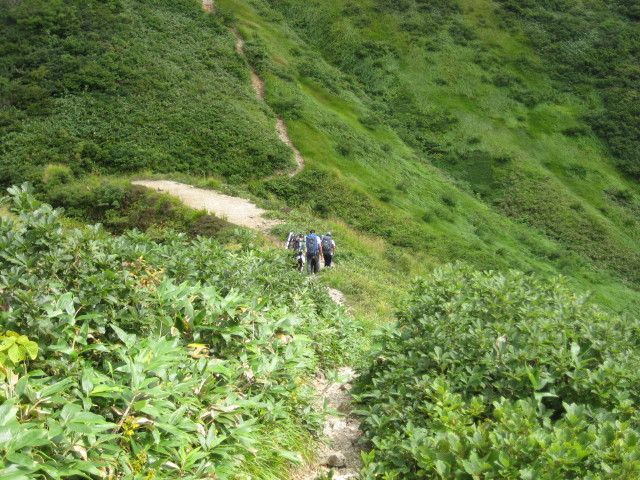 img0041.jpg