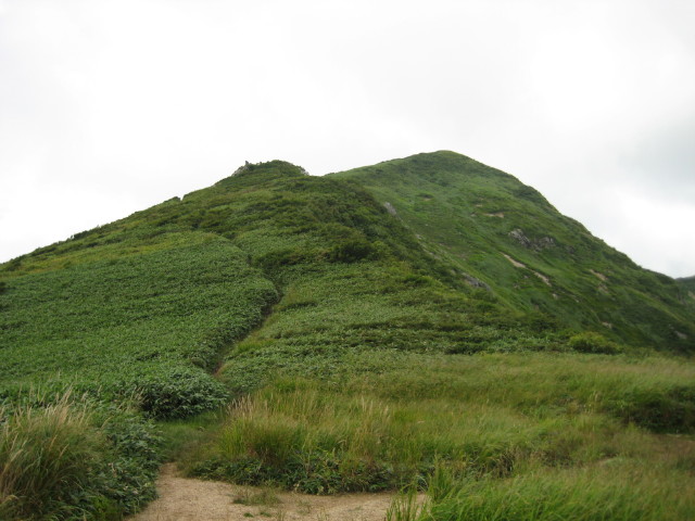 img0049.jpg