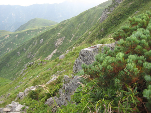 img0063.jpg