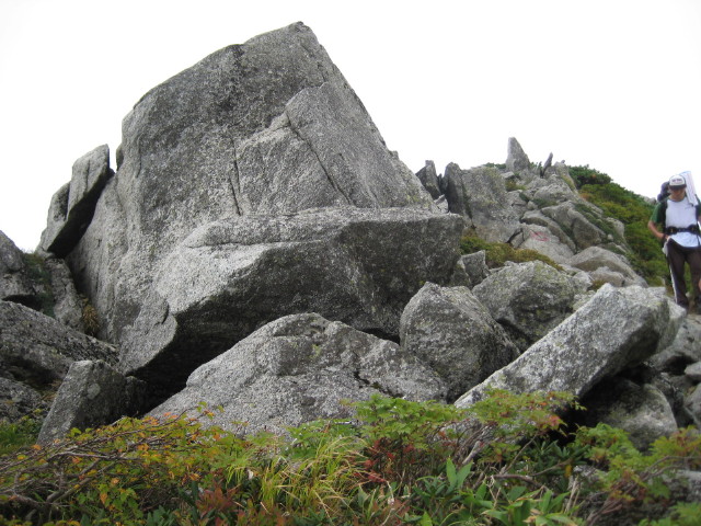 img0077.jpg