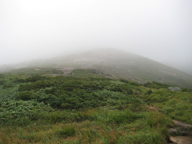 img0092.jpg