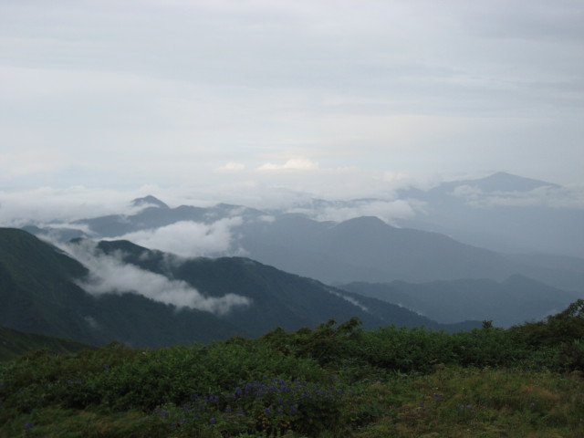 img0103.jpg