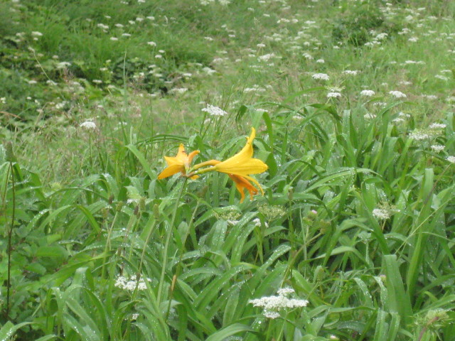 img0114.jpg