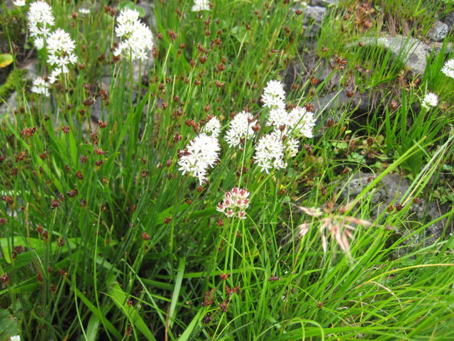 img0117.jpg