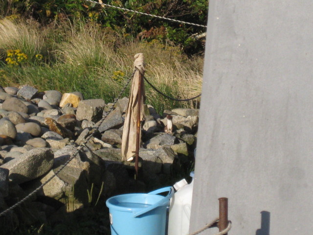 img0156.jpg