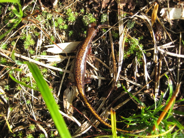 img0164.jpg