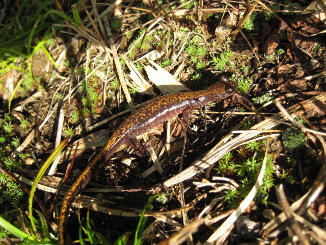 img0165.jpg
