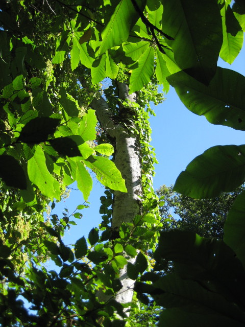 img0177.jpg