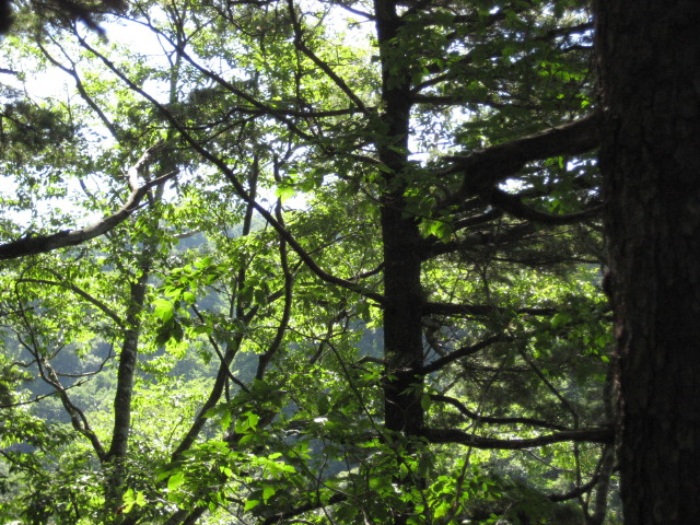 img0180.jpg