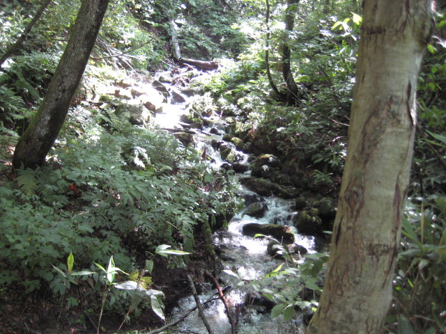img0181.jpg