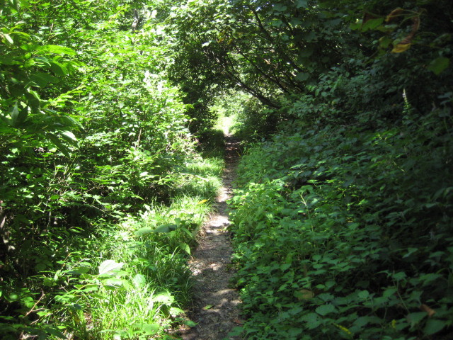 img0182.jpg
