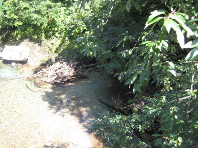 img0191.jpg