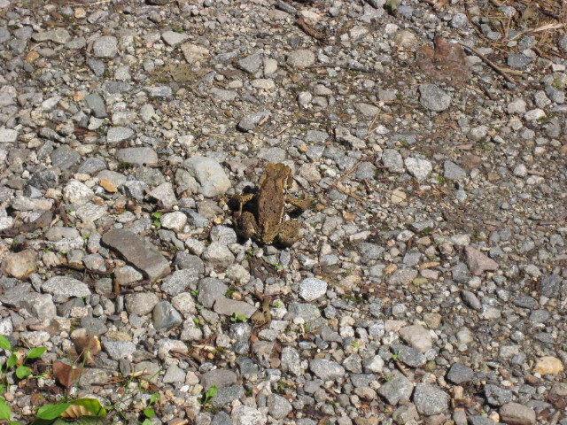 img0197.jpg