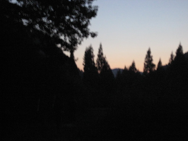 img0207.jpg