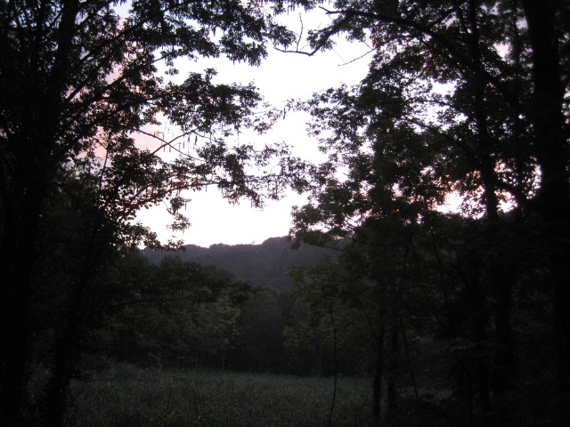 img0215.jpg