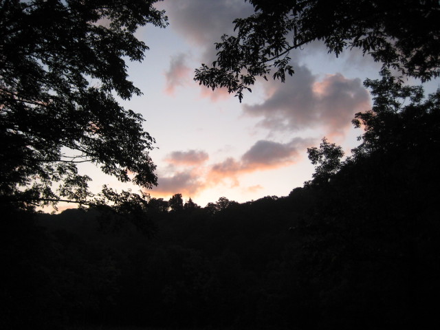 img0217.jpg
