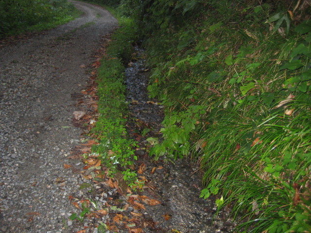 img0221.jpg