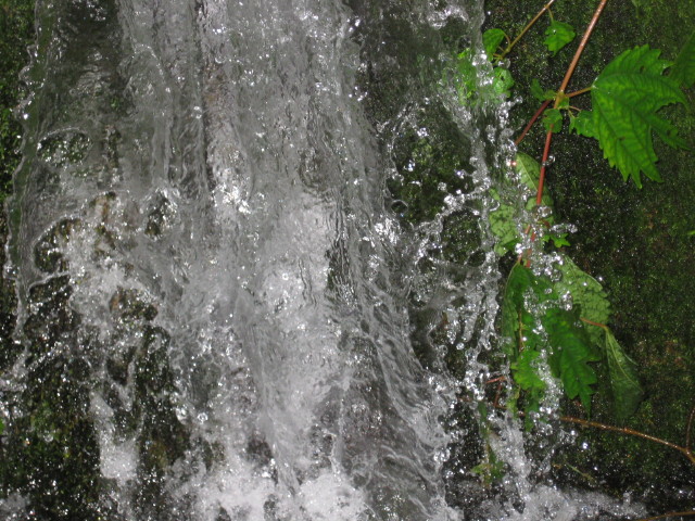 img0225.jpg