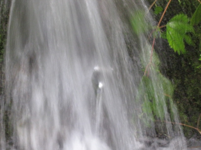 img0226.jpg