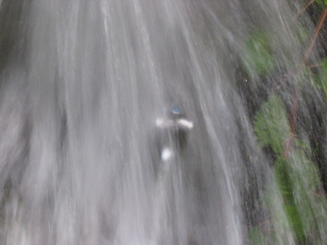 img0227.jpg