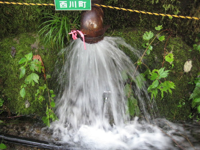 img0228.jpg