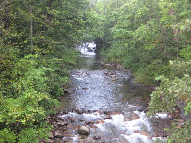 img0232.jpg