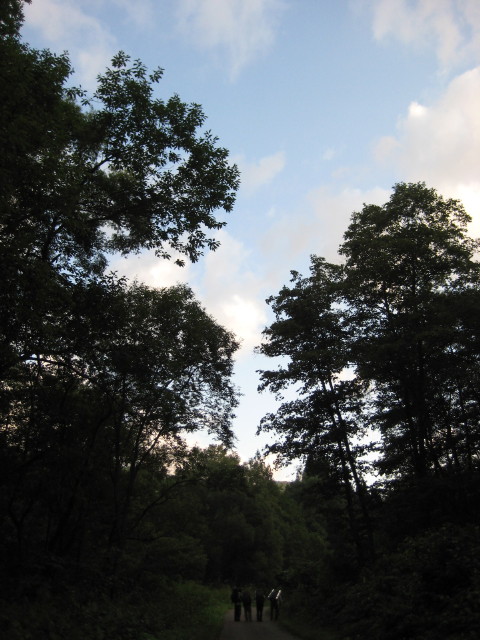 img0238.jpg