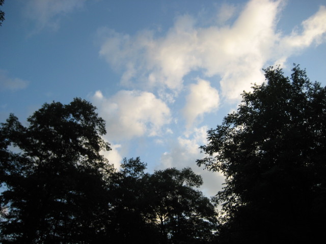 img0239.jpg