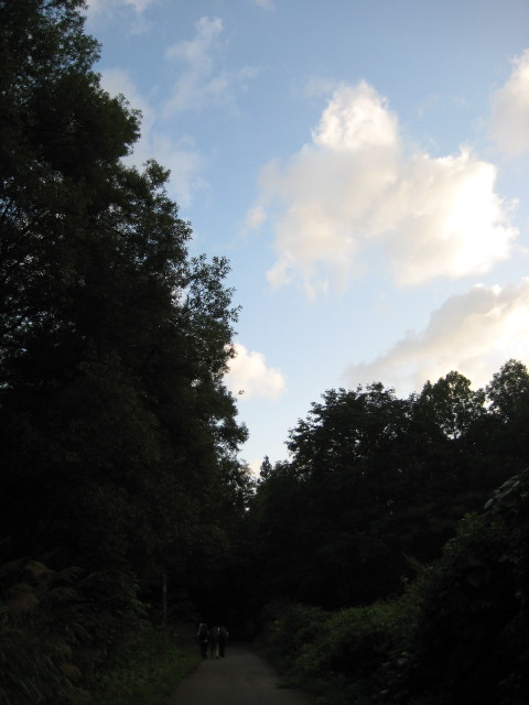 img0240.jpg