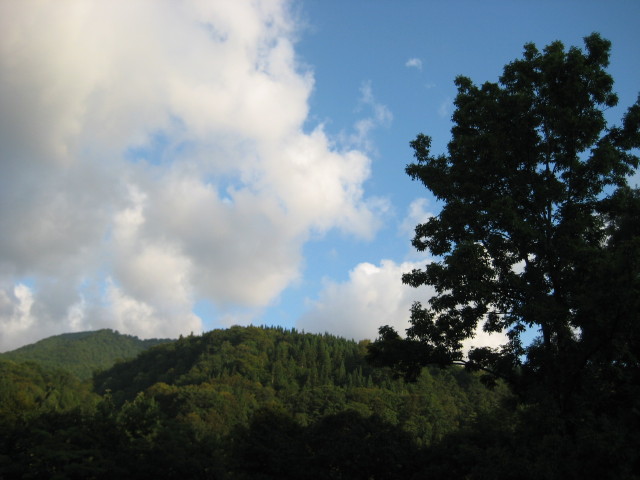 img0247.jpg