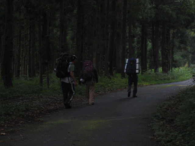 img0251.jpg