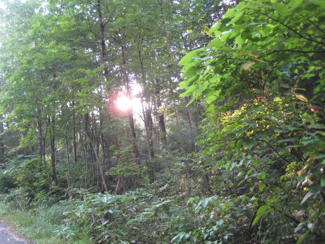 img0253.jpg