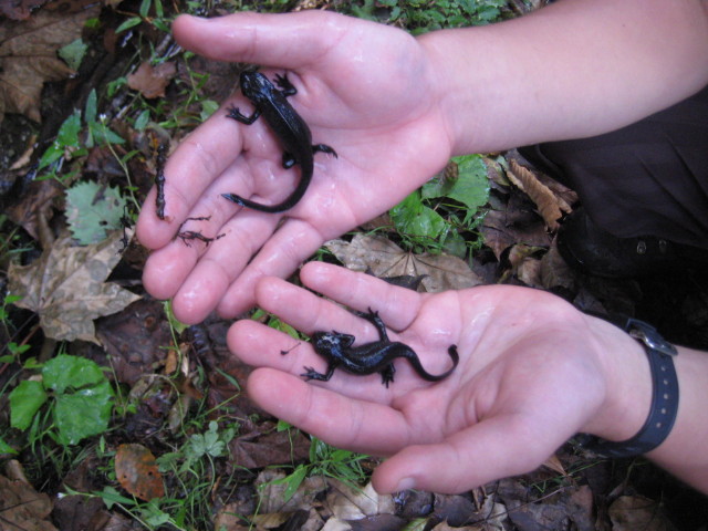 img0256.jpg