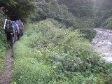 img0004.jpg