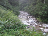 img0005.jpg