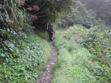 img0006.jpg