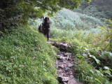 img0009.jpg