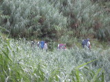 img0010.jpg