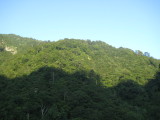 img0015.jpg