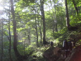 img0019.jpg