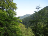 img0020.jpg
