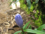 img0029.jpg
